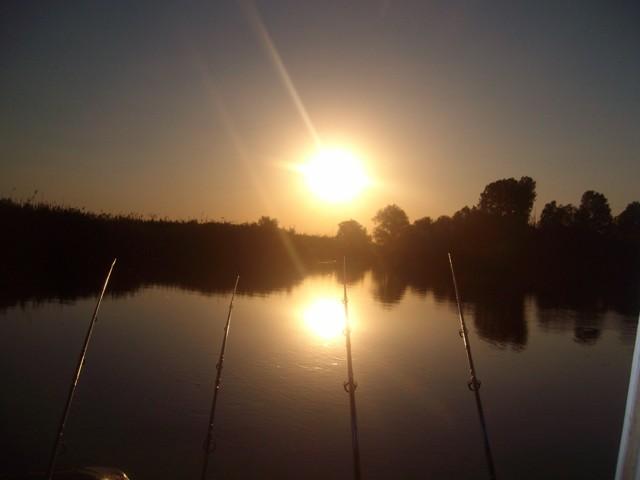 Delta forever - sany0764.JPG